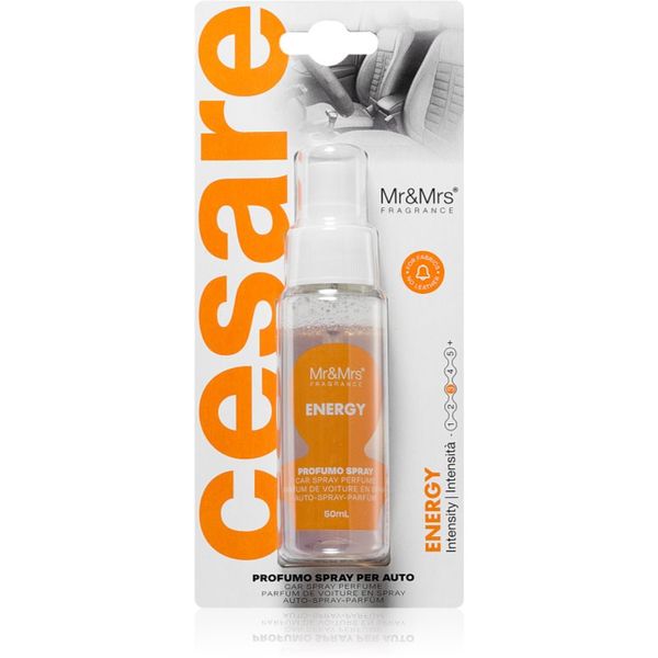 Mr & Mrs Fragrance Mr & Mrs Fragrance Cesare Energy osvježivač zraka za auto 50 ml