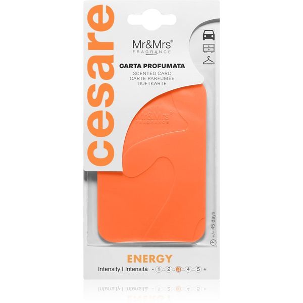 Mr & Mrs Fragrance Mr & Mrs Fragrance Cesare Energy viseća mirisna oznaka 1 kom