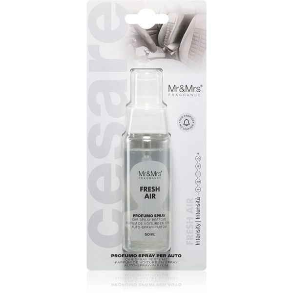 Mr & Mrs Fragrance Mr & Mrs Fragrance Cesare Fresh Air osvježivač zraka za auto 50 ml