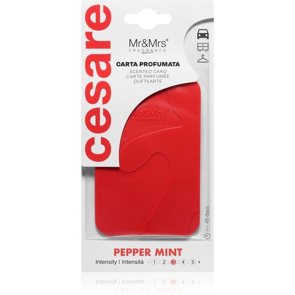 Mr & Mrs Fragrance Mr & Mrs Fragrance Cesare Peppermint mirisna kartica 1 kom