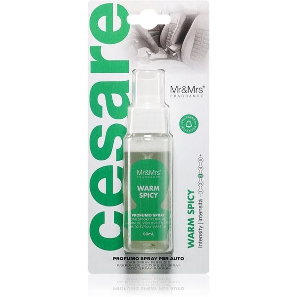 Mr & Mrs Fragrance Mr & Mrs Fragrance Cesare Warm Spicy osvježivač zraka za auto 50 ml