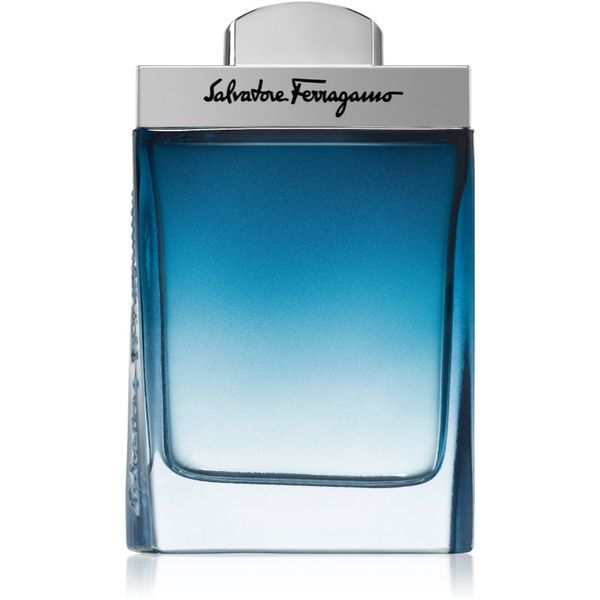 Salvatore Ferragamo Salvatore Ferragamo Subtil Pour Homme toaletna voda za muškarce 100 ml
