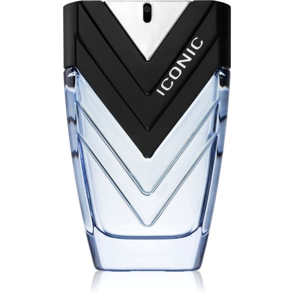 Sapil Sapil Iconic parfemska voda za muškarce 100 ml