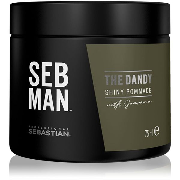 Sebastian Professional Sebastian Professional SEB MAN The Dandy pomada za kosu za prirodno učvršćivanje 75 ml