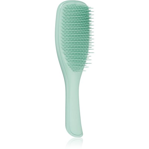 Tangle Teezer Tangle Teezer Ultimate Detangler Fine & Fragile Dark Teal četka za sve tipove kose 1 kom