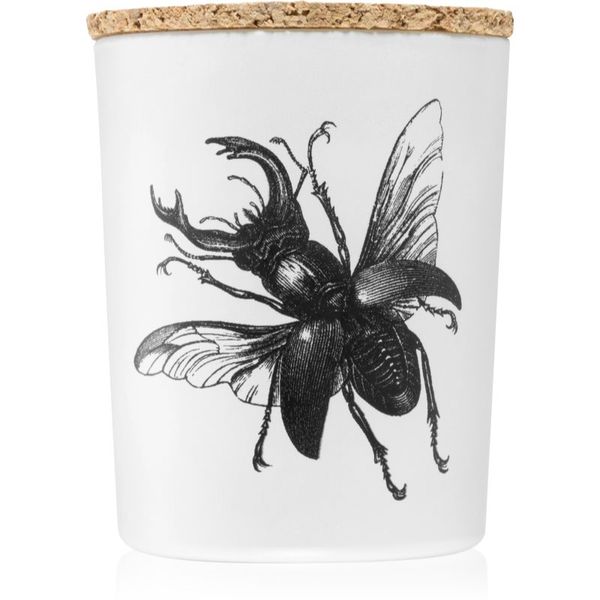 Vila Hermanos Vila Hermanos Insect Lucanus Cervus mirisna svijeća 75 g
