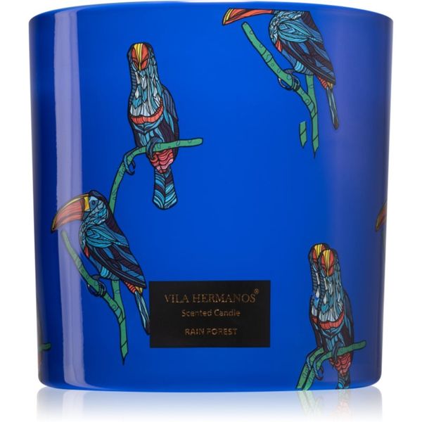 Vila Hermanos Vila Hermanos Jungletopia Rain Forest mirisna svijeća 620 g