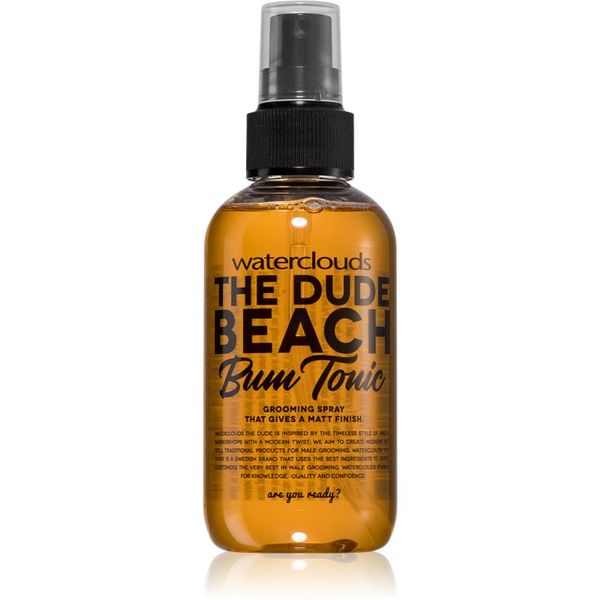 Waterclouds Waterclouds The Dude sprej za stiliziranje za kosu 150 ml