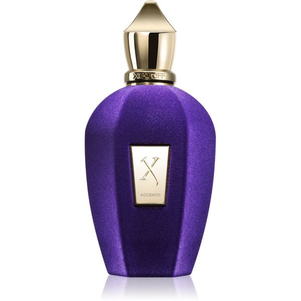 Xerjoff Xerjoff Accento parfemska voda uniseks 100 ml