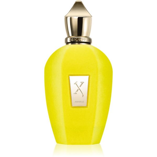 Xerjoff Xerjoff Amabile parfemska voda uniseks 100 ml