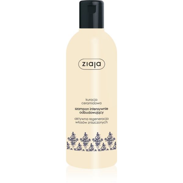 Ziaja Ziaja Ceramides šampon za intenzivnu regeneraciju 300 ml