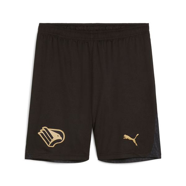 PUMA Men's Puma Palermo F.C. 24/25 Away Shorts, Black, Size S, Sport