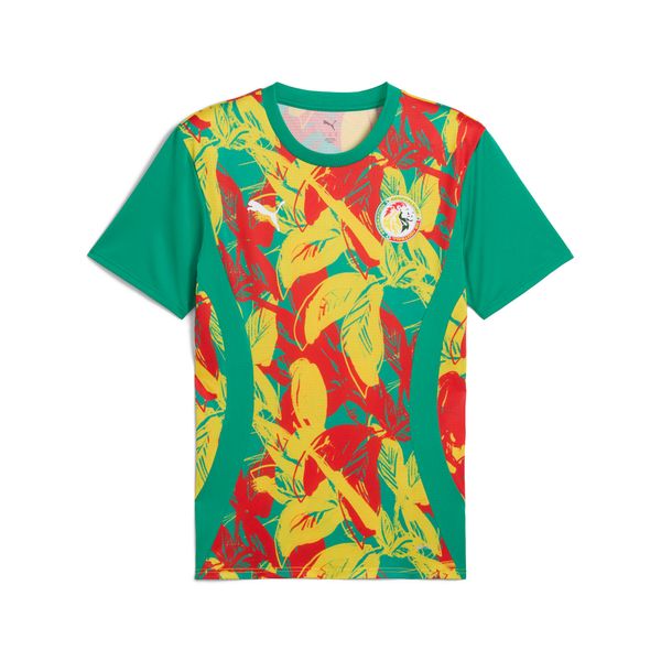 PUMA Men's Puma Senegal 2025 Pre-match Jersey, Green, Size M, Sport