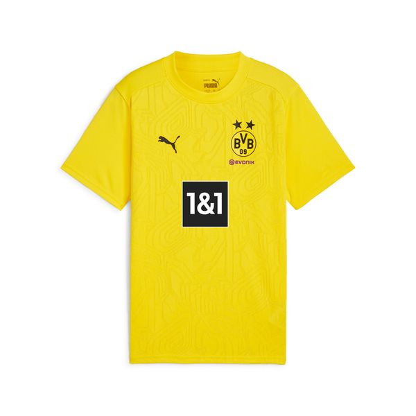 PUMA Puma Borussia Dortmund Training Quarter-Zip Top Youth, Yellow, Size 15-16Y, Clothing