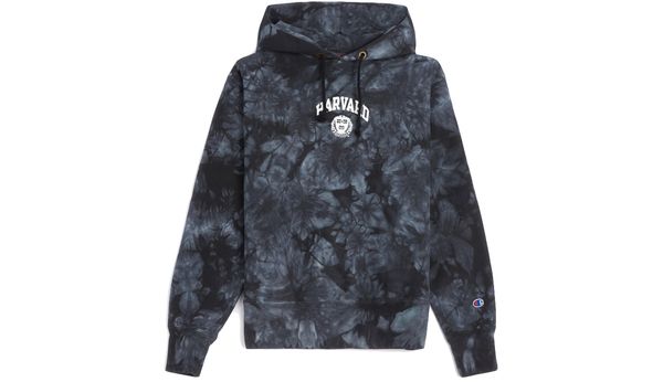 Champion Champion Hooded Sweatshirt