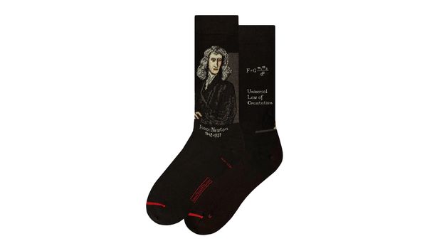 MuseARTa MuseARTa Science & History - Isaac Newton