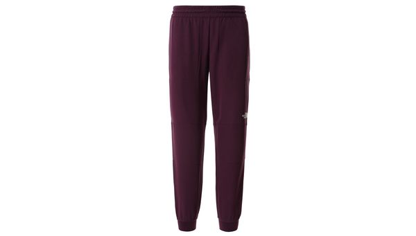The North Face The North Face W Tekwr Fleece Pant