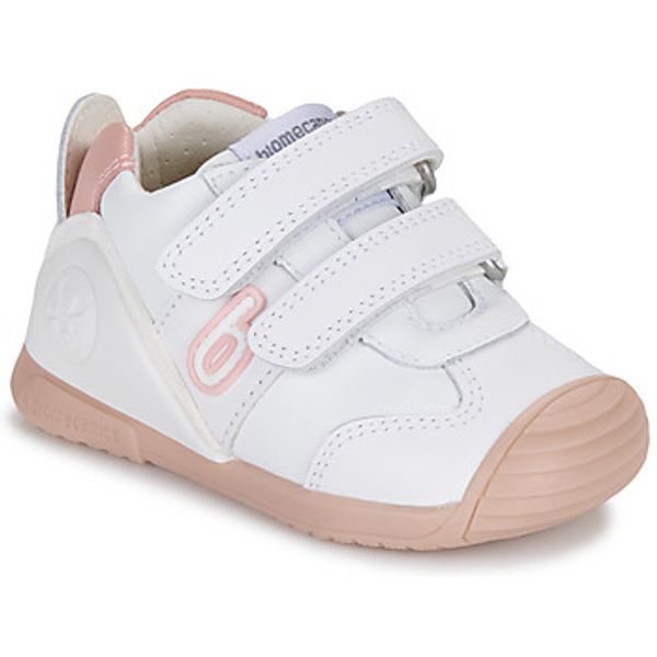 Biomecanics Biomecanics  Niske tenisice BIOGATO SPORT  Biomecanics