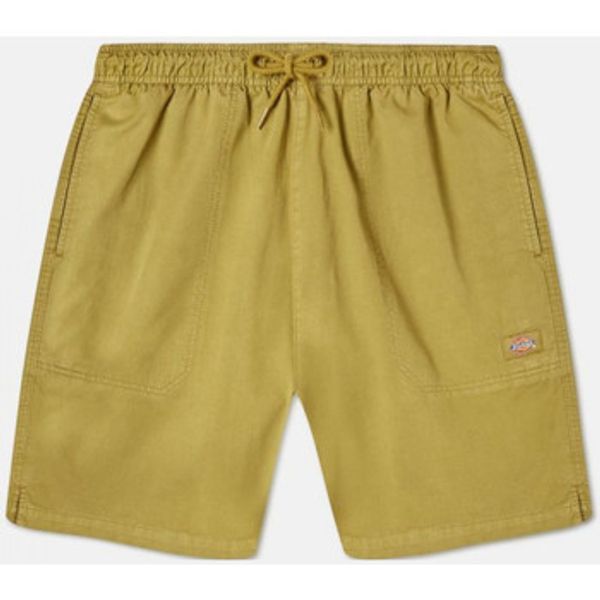 Dickies Dickies  Bermude i kratke hlače Pelican rapids  Dickies