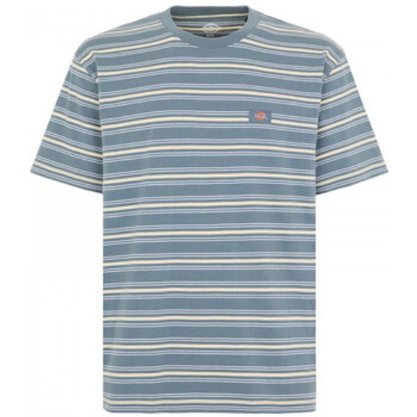 Dickies Dickies  Majice / Polo majice Lewistown stripe ss tee  Dickies