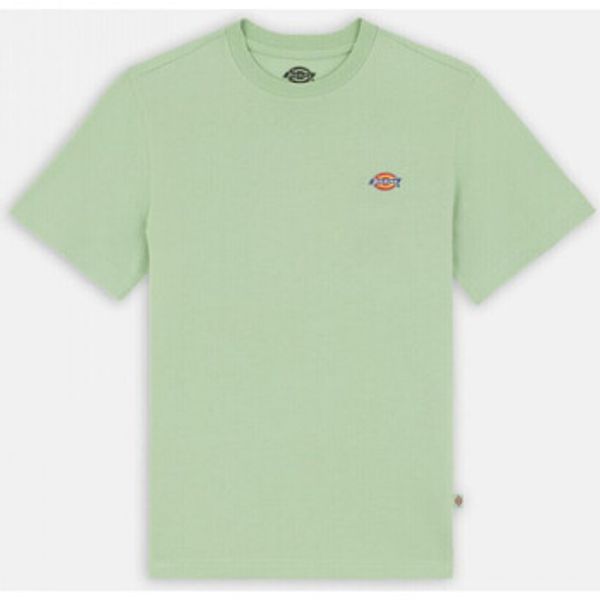 Dickies Dickies  Majice / Polo majice Mapleton ss tee  Dickies