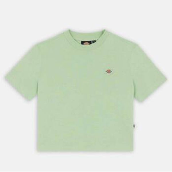 Dickies Dickies  Majice / Polo majice OAKPORT BOXY TEE SS W  Dickies