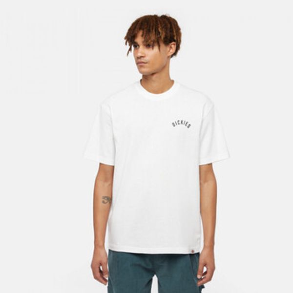 Dickies Dickies  Majice / Polo majice panther tee ss  Dickies