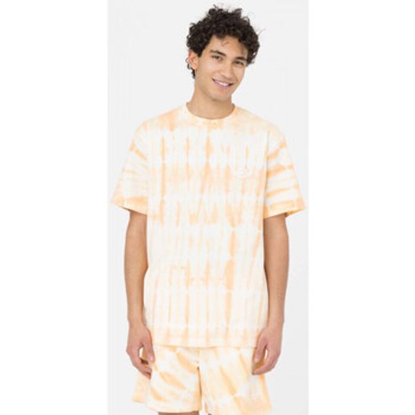 Dickies Dickies  Majice / Polo majice Westfir tee ss  Dickies