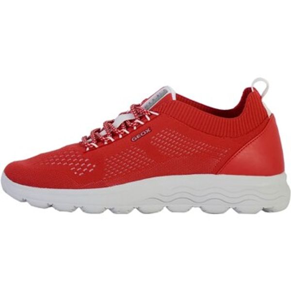 Geox Geox  Niske tenisice 178926  Geox