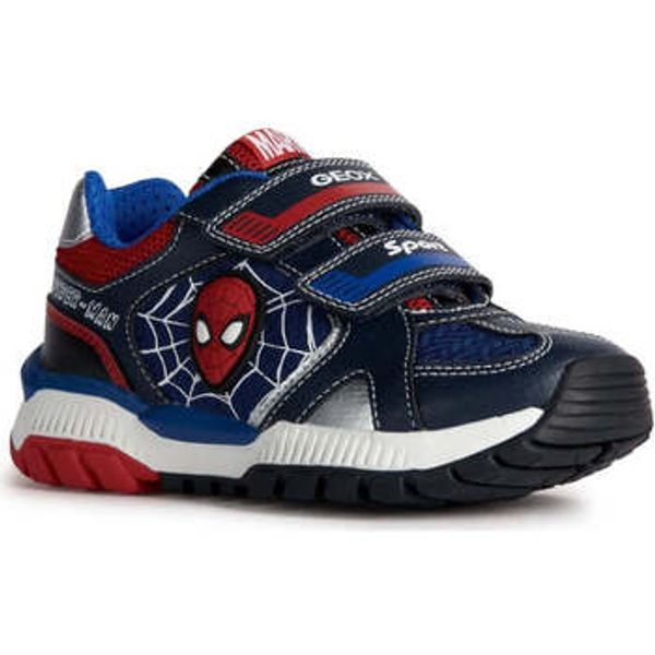 Geox Geox  Niske tenisice -  Geox