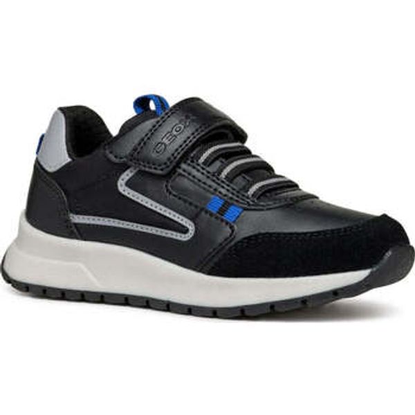 Geox Geox  Niske tenisice -  Geox