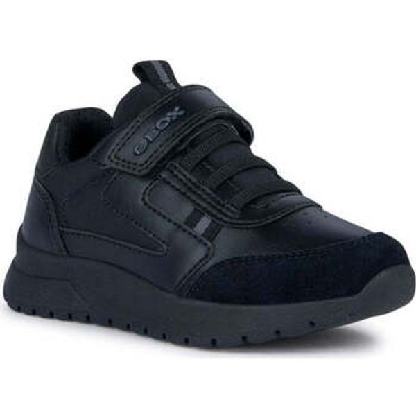 Geox Geox  Niske tenisice -  Geox