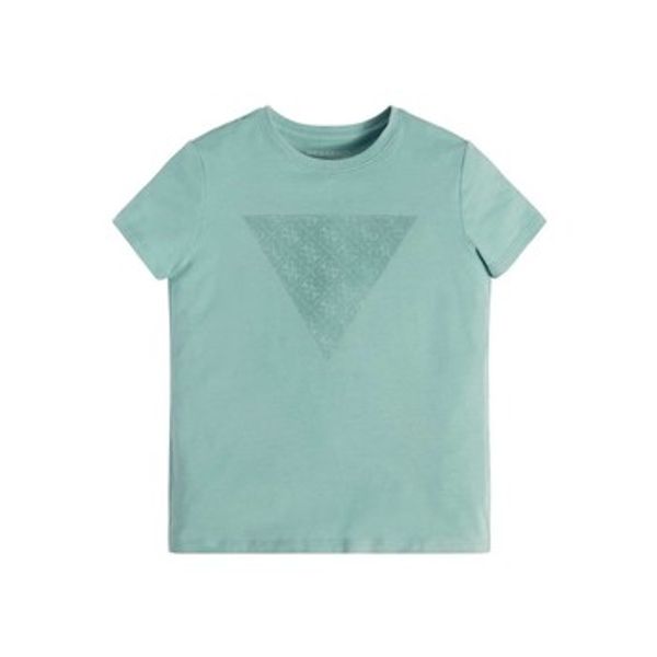 Guess Guess  Majice kratkih rukava SS T SHIRT  Guess