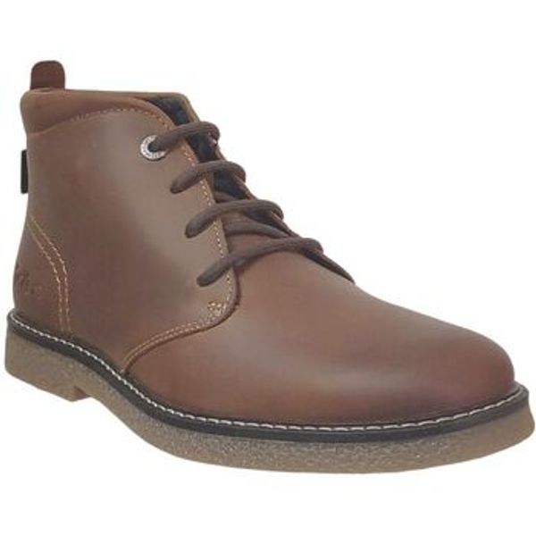 Kickers Kickers  Polučizme Kick Leo  Kickers