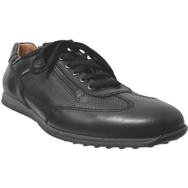 Mephisto Mephisto  Oksfordice Leon  Mephisto
