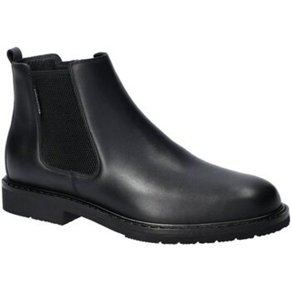 Mephisto Mephisto  Polučizme Murray  Mephisto