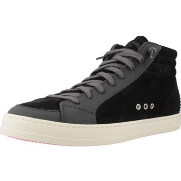 P448 P448  Modne tenisice SKATEW  P448