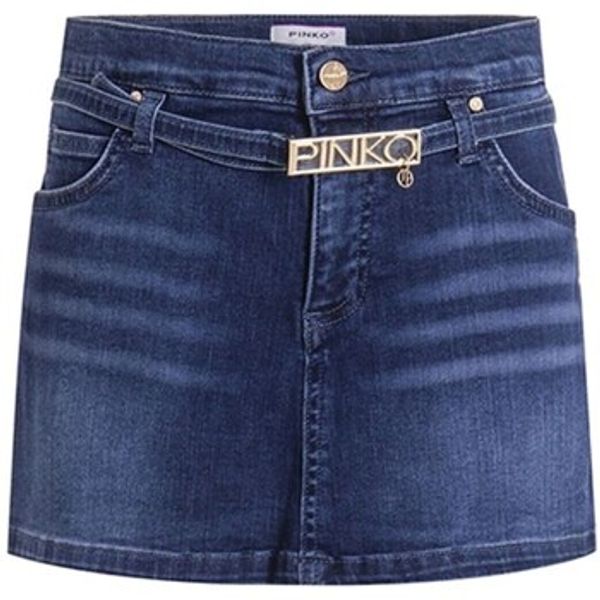 Pinko Pinko  Suknje F4PIJGST112  Pinko