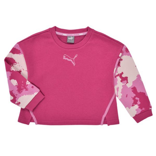 Puma Puma  Sportske majice ALPHA CREW  Puma