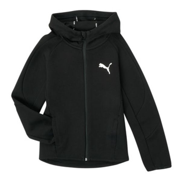 Puma Puma  Sportske majice EVOSTRIPE CORE FZ HOODIE  Puma