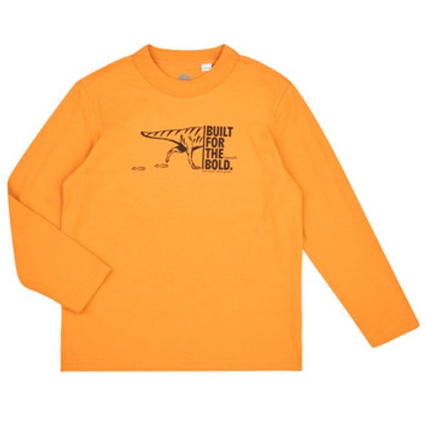 Timberland Timberland  Majice dugih rukava TEE-SHIRT MANCHES LONGUES T60301  Timberland