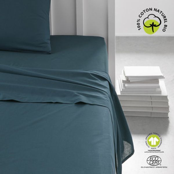Today Today  Plahte Drap Plat 240/300 Coton TODAY Organic Paon  Today