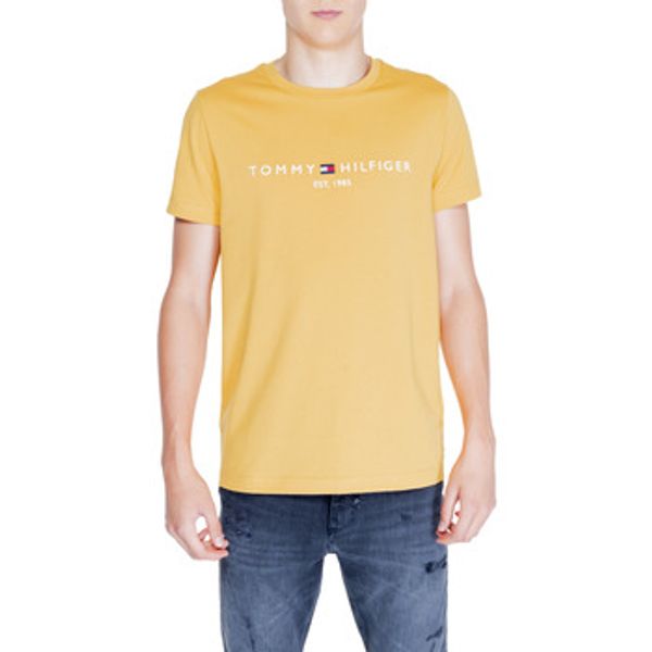 Tommy Hilfiger Tommy Hilfiger  Polo majice dugih rukava TOMMY LOGO TEE MW0MW11797  Tommy Hilfiger