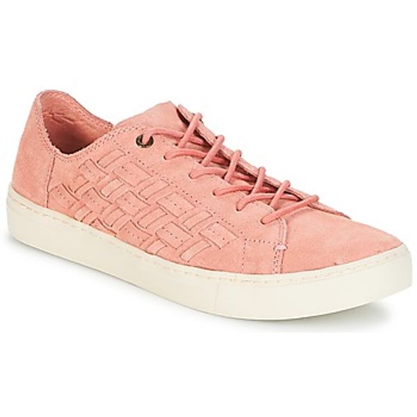 Toms Toms  Niske tenisice LENOX  Toms