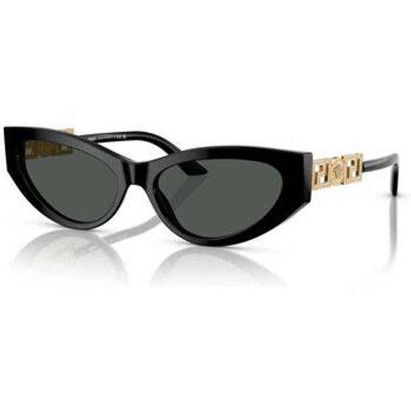Versace Versace  Sunčane naočale 0VE4470B GB1/87  Versace