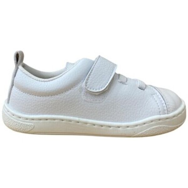 Zapy Zapy  Modne tenisice 29017-18  Zapy