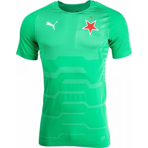 Puma Puma SLAVIA FINAL EVOKNIT GK Muška golmanska majica, zelena, veličina