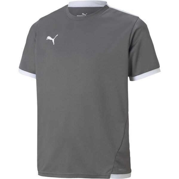 Puma Puma TEAM LIGA JERSEY JR Juniorska nogometna majica, siva, veličina