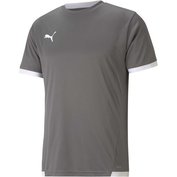 Puma Puma TEAM LIGA JERSEY Muška nogometna majica, siva, veličina