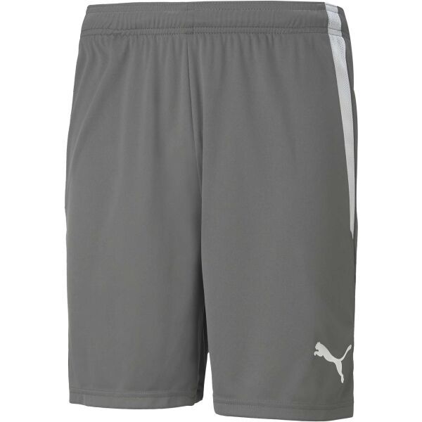 Puma Puma TEAM LIGA SHORTS Muške kratke hlače, siva, veličina